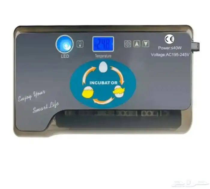 فقاسة 12 بيضة 1