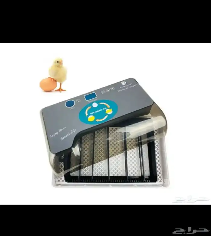 فقاسة 12 بيضة 3