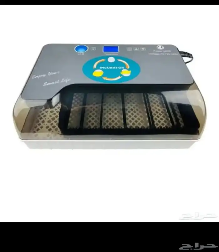 فقاسة 12 بيضة 0