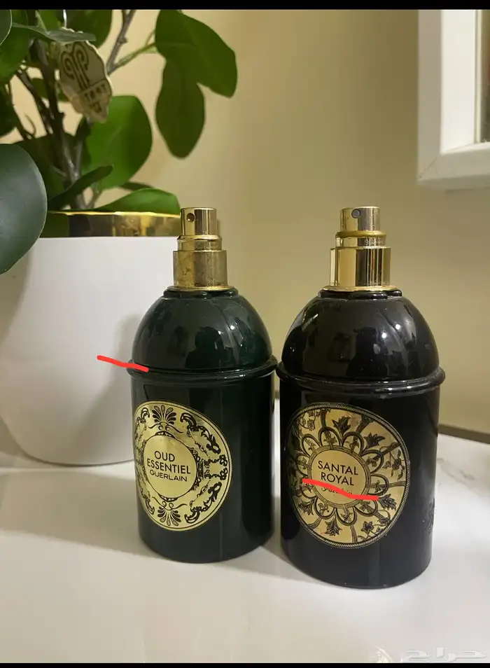 جرلاين عطور شتوية ايسنشال gurelain (تم البيع) 0
