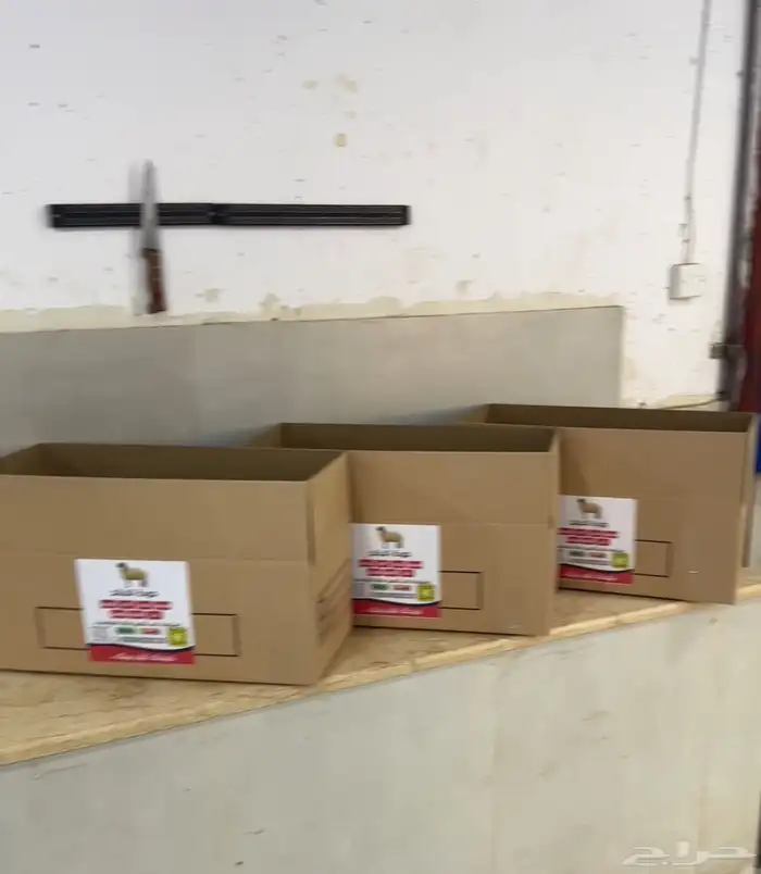 ذبايح بلدي شرط نصف ذبيحة او ذبيحة كامله 8