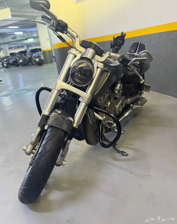 V ROD MUSCLE -2015 2