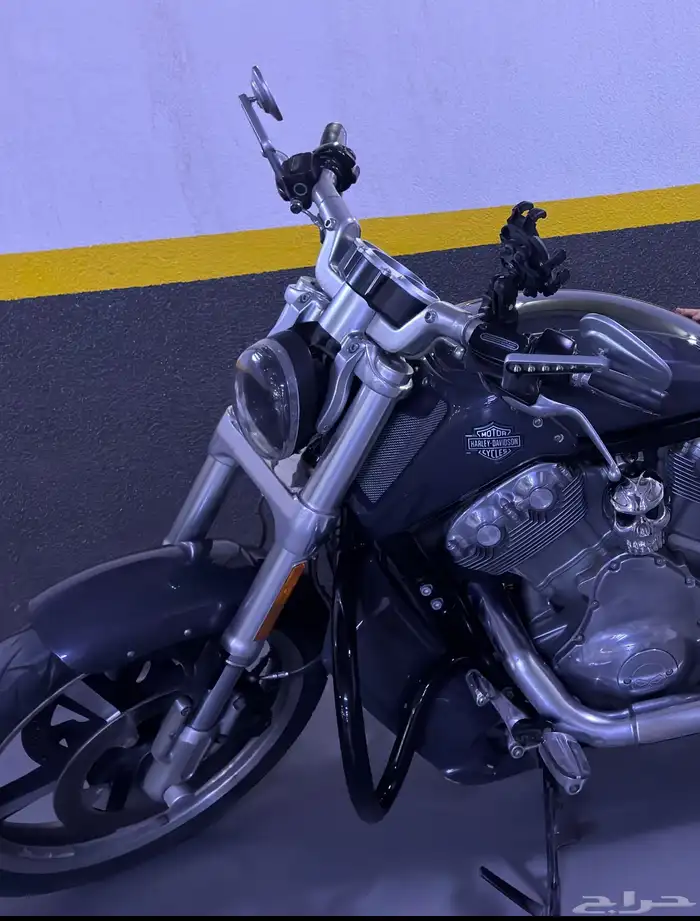 V ROD MUSCLE -2015 0