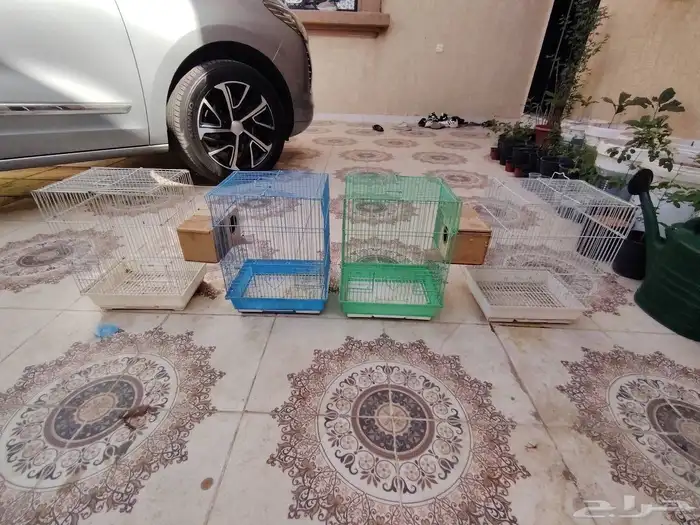 شبوك طيور العدد 4 7