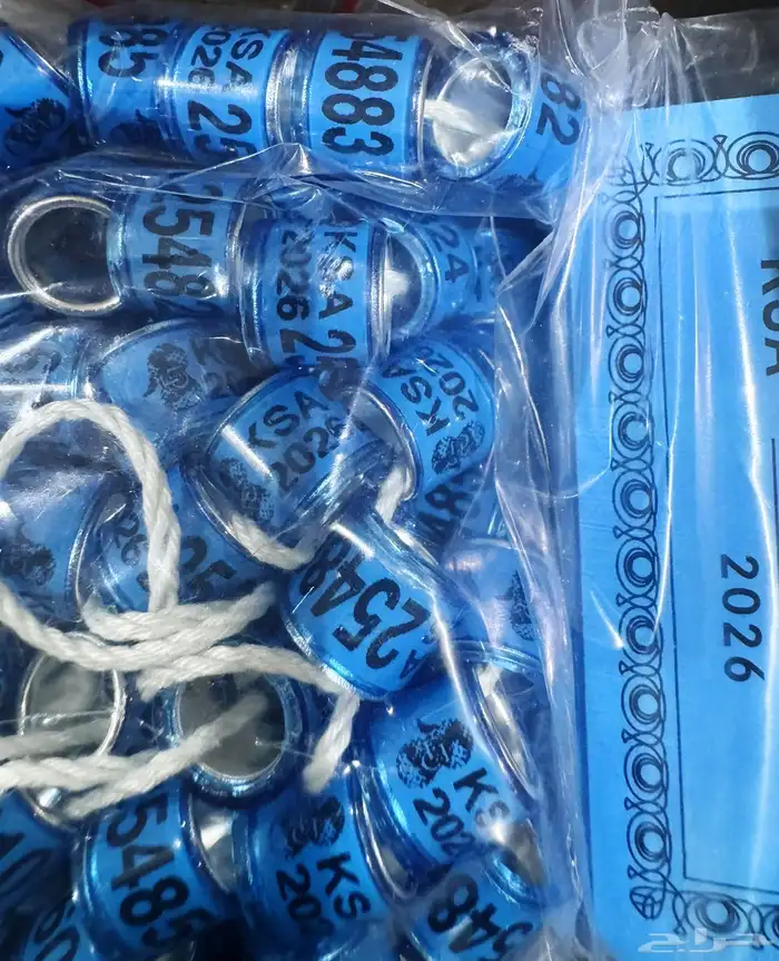 حجول 2026 ختوم النادي السعودي للزاجل 1