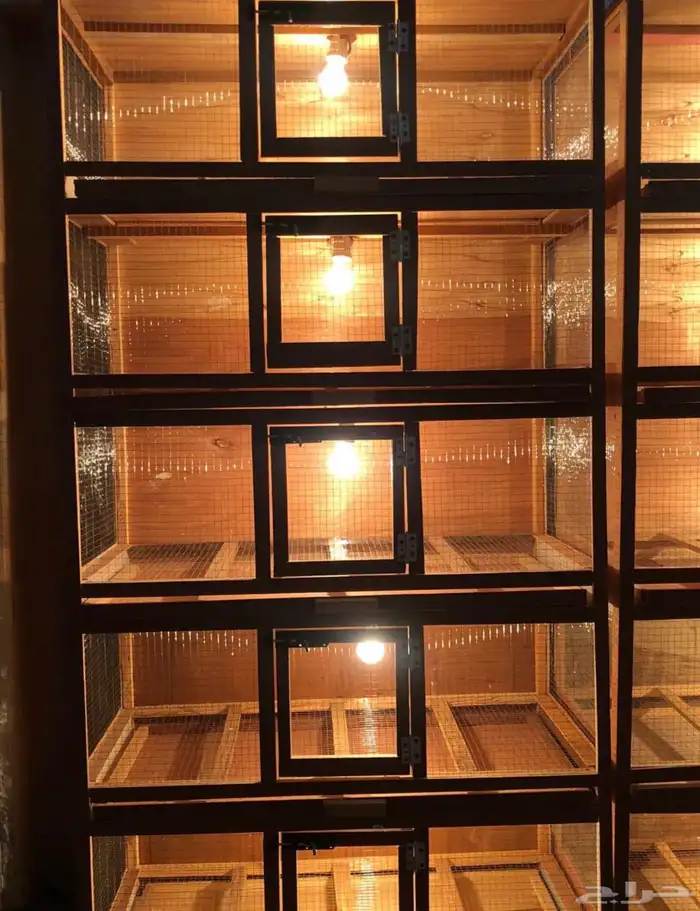 حضانات صوص 5ادوار 0