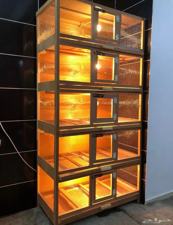 حضانات صوص 5ادوار 1