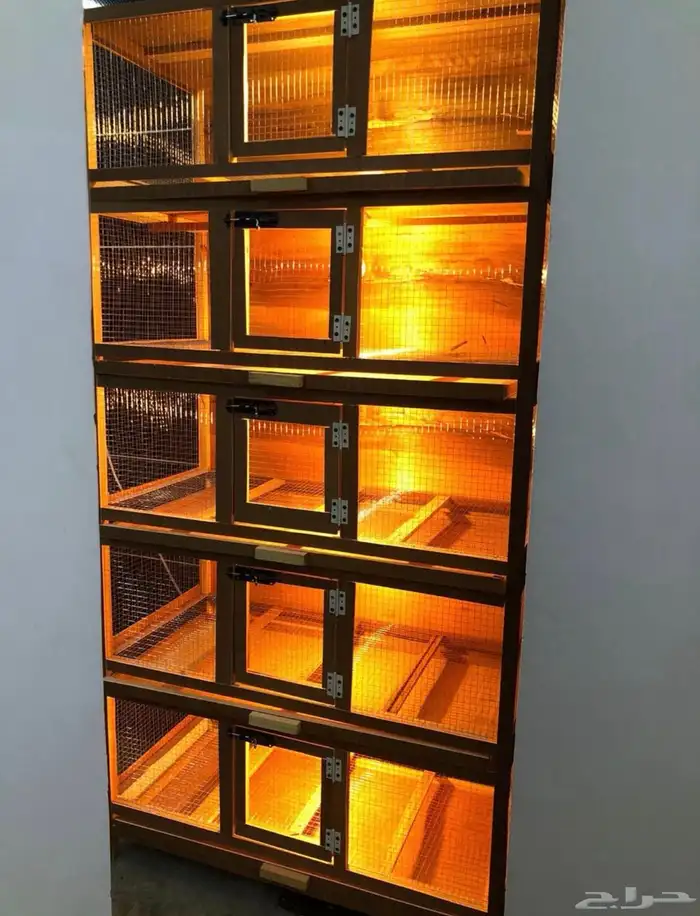 حضانات صوص 5ادوار 2