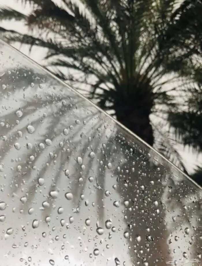 مطعم بيتزا فطائر للتقبيل بينبع 0