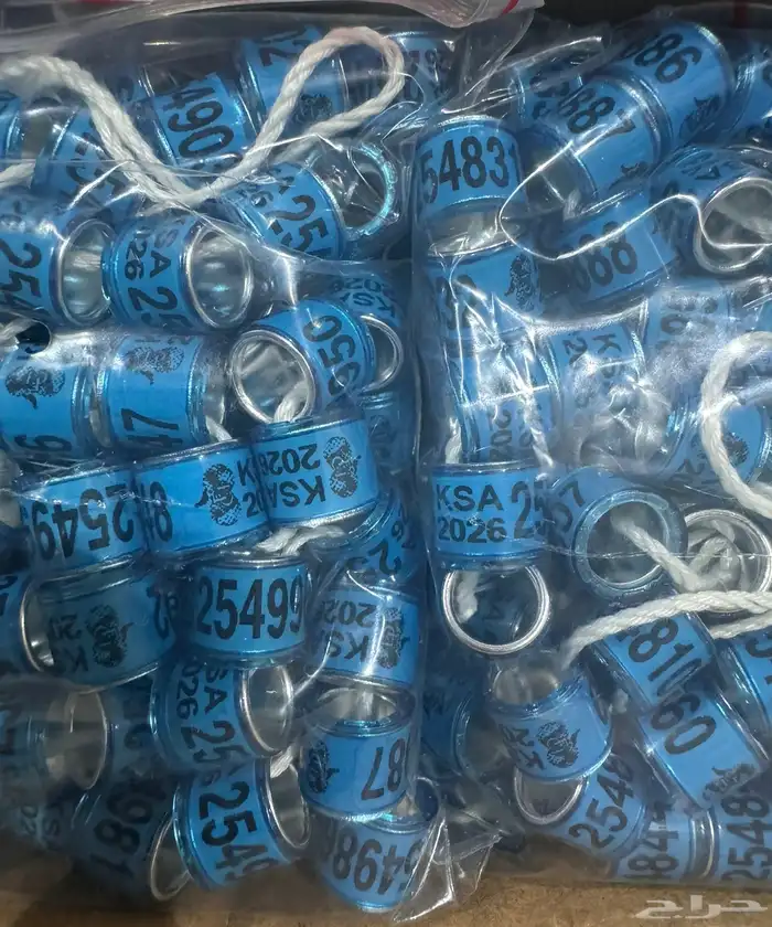 حجول 2026 ختوم النادي السعودي للزاجل 0