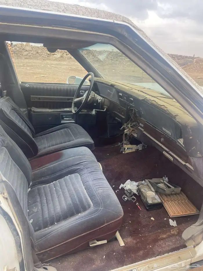 كابرس عدد 2 11