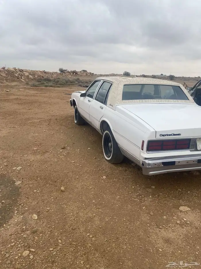 كابرس عدد 2 7