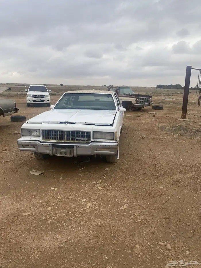 كابرس عدد 2 6