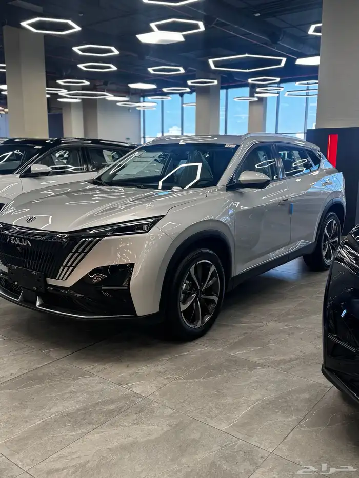 دونج فينج ميج E2 لكجري 2026 نص فل 8