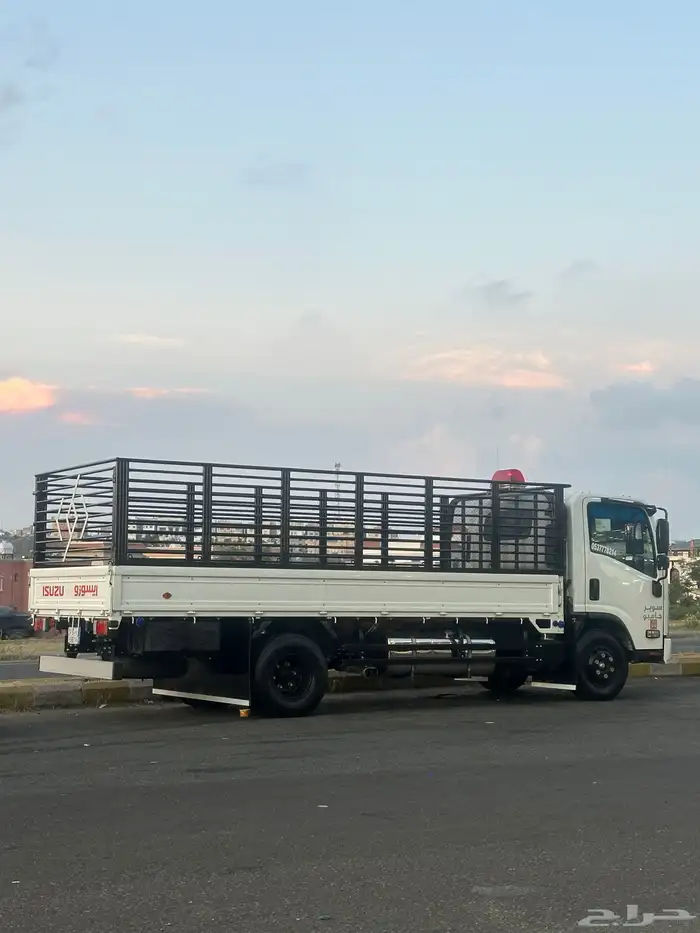 دينا شبك سته متر للمشاوير 0