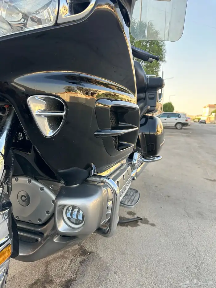 قولد وينق 16