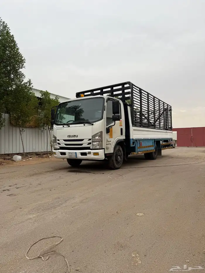 دينه سوزو 2020 12