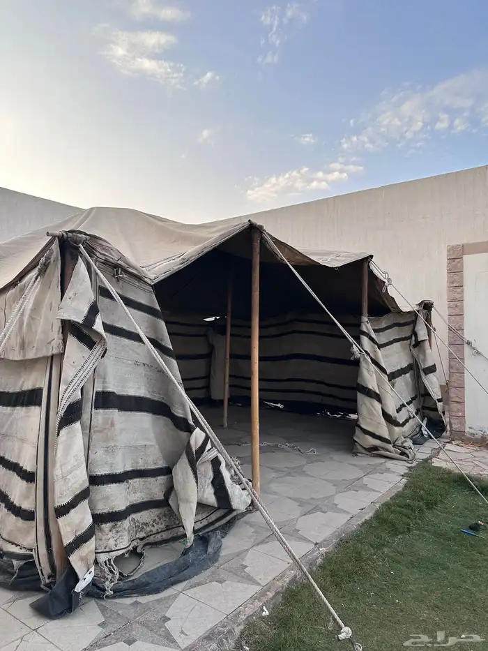 للبيع خيمه قطبه 1