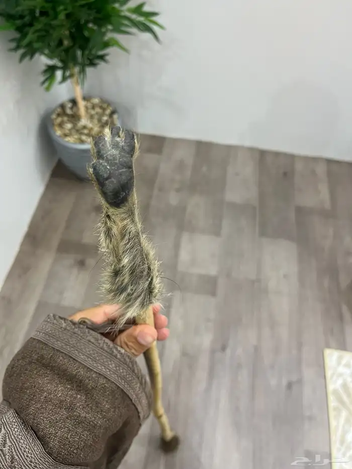 عصىاء شوحط ملبس فرو وبر في الاعلى واسفلها يد وبر 5