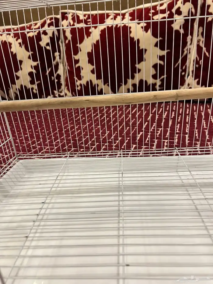 قفص طيور 9