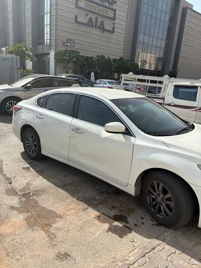 التيما 2016 نص فل 0