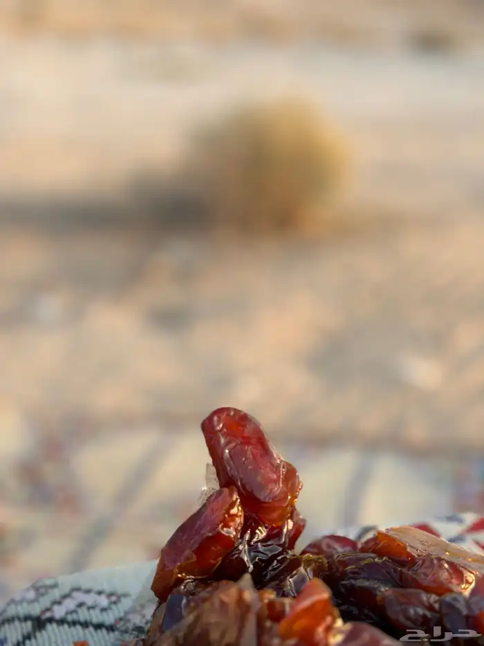 خلاص فاخر مفروز ومقمع اسعار مناسبه 3