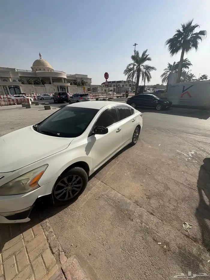 التيما 2016 نص فل 1