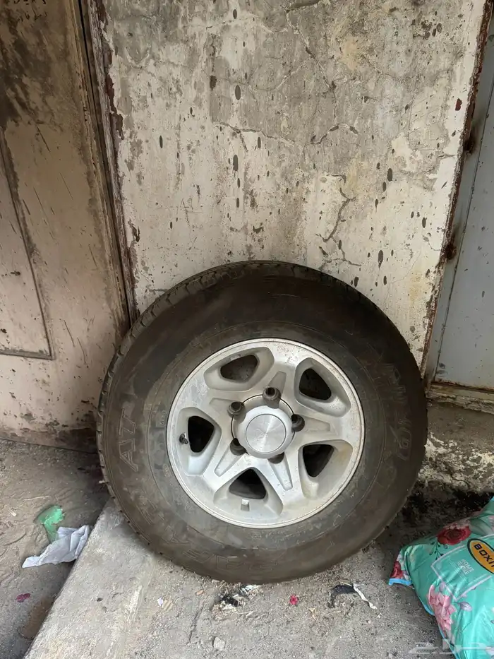 جنوط جيب ربع رفرف 13