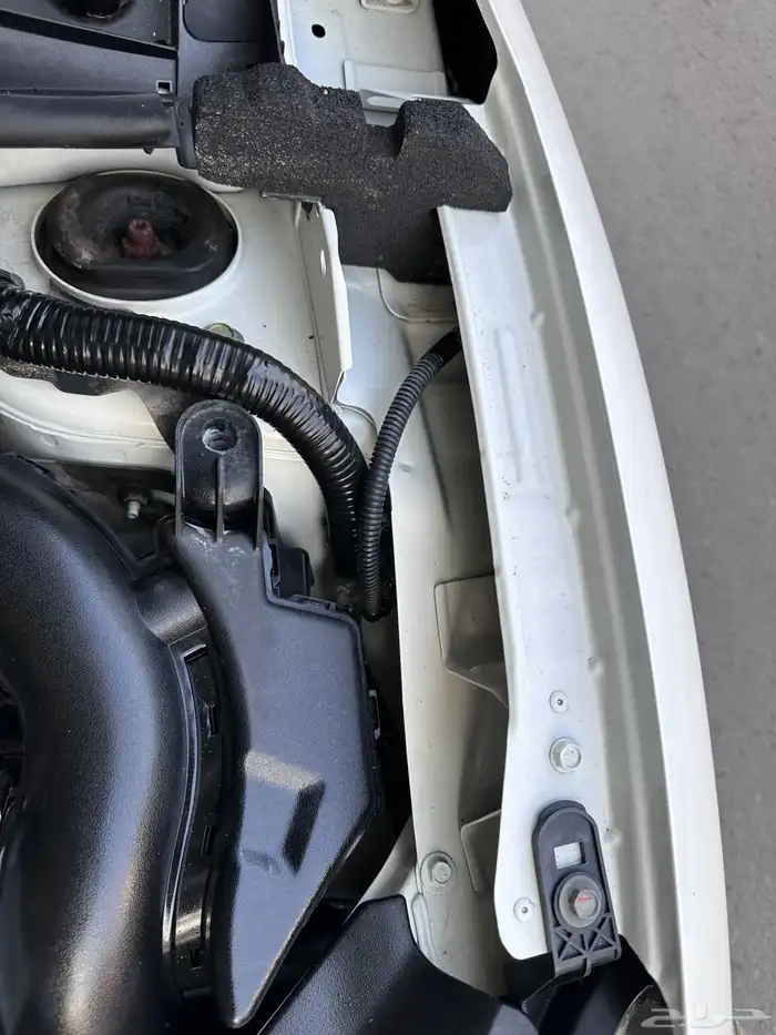 سنترا 2019 بدي وكاله (( تم البيع )) 45