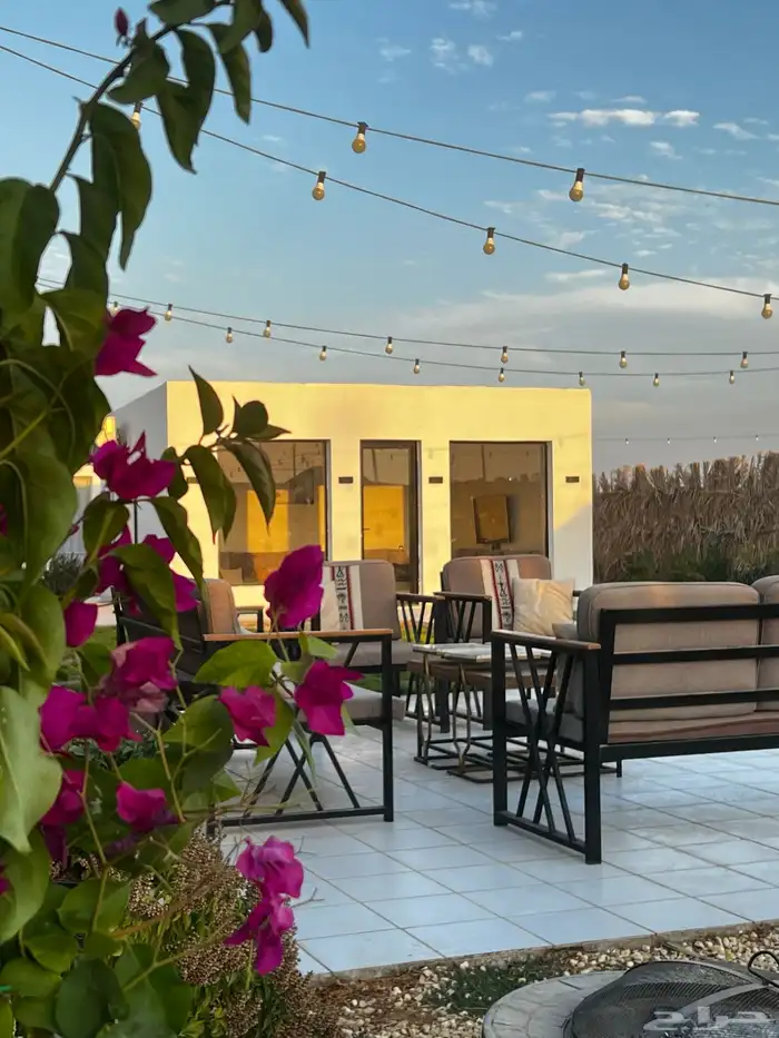 مخيم نواه للأيجار اليومي 22