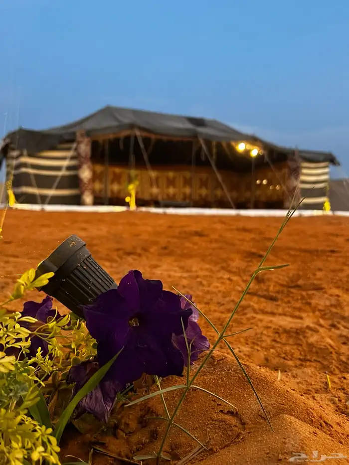 مخيم نواه للأيجار اليومي 13