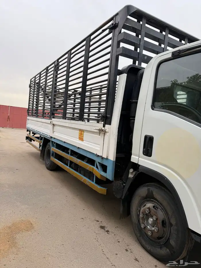 دينه سوزو 2020 8