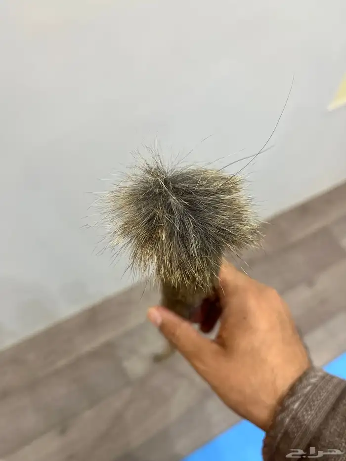 عصىاء شوحط ملبس فرو وبر في الاعلى واسفلها يد وبر 3