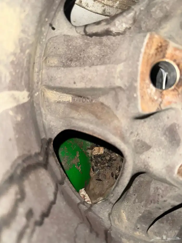 جنوط جيب ربع رفرف 8