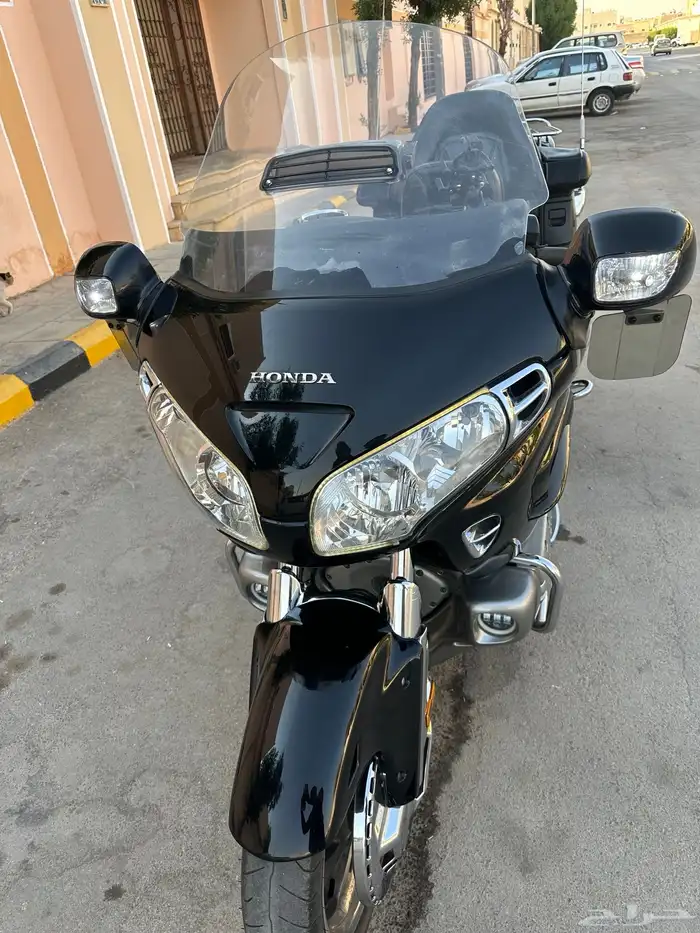 قولد وينق 18