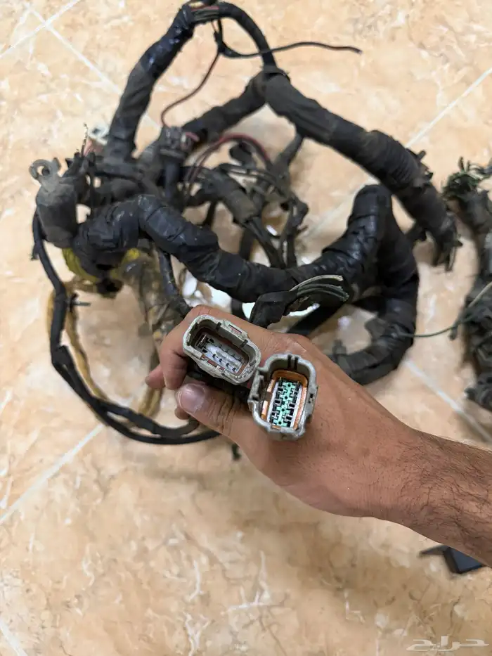 ظفرة نسيان صني موديل 2012 3