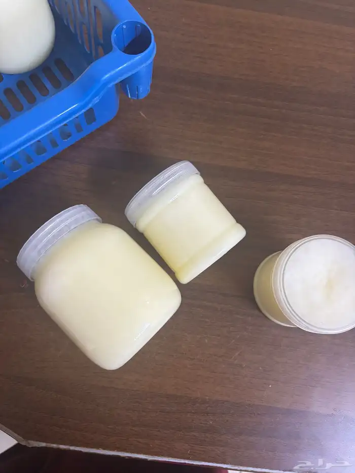 زبدة غنم طبيعيه 100  على الضمان الذهبي 1