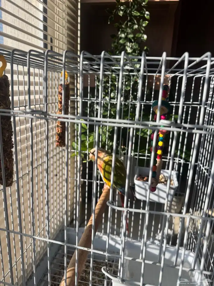 طيران الناس اليف جدا جدا جدا 4