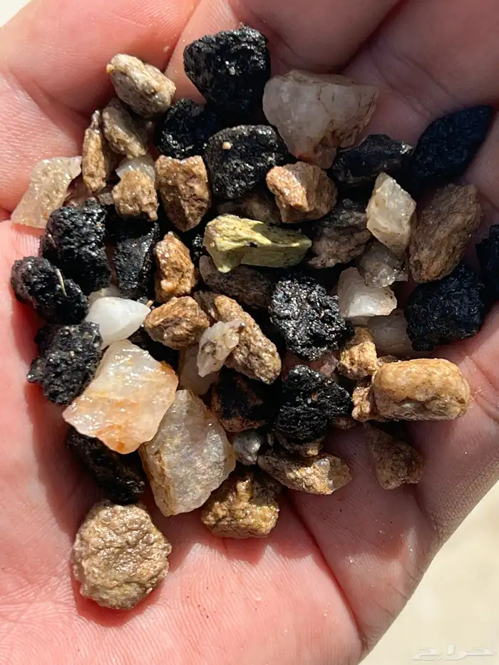 تربة أحواض سمك بونساي 0