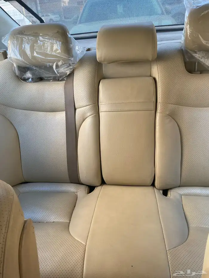 زهرة العمره 13