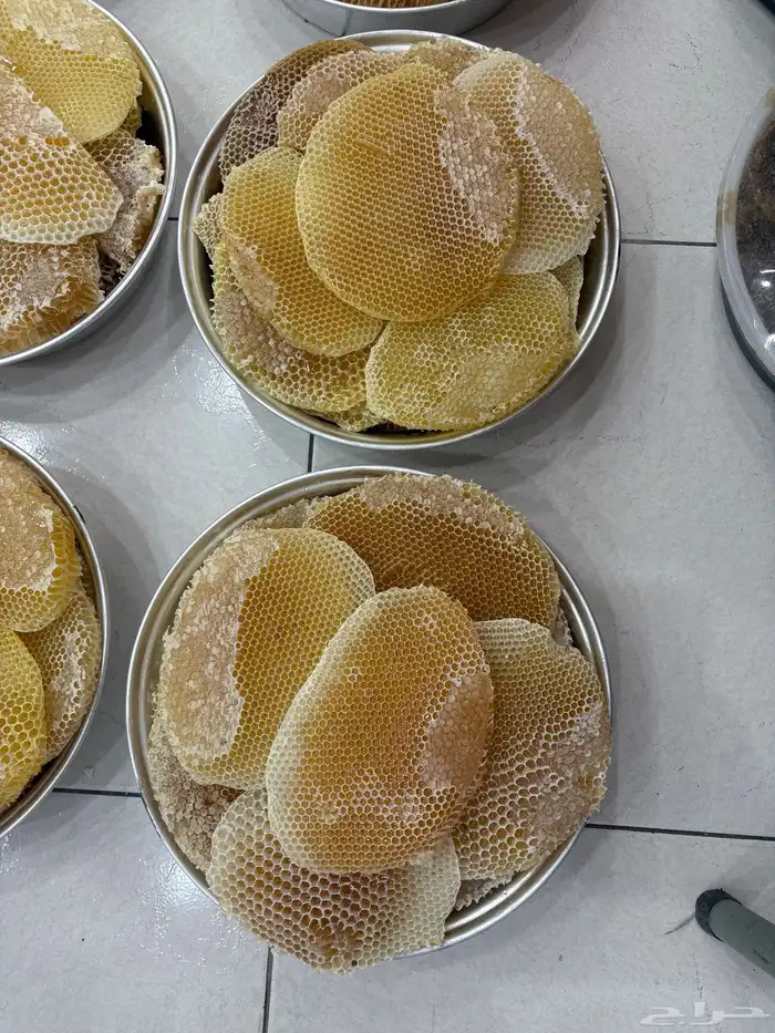 عسل سدر شمع وسايل 1