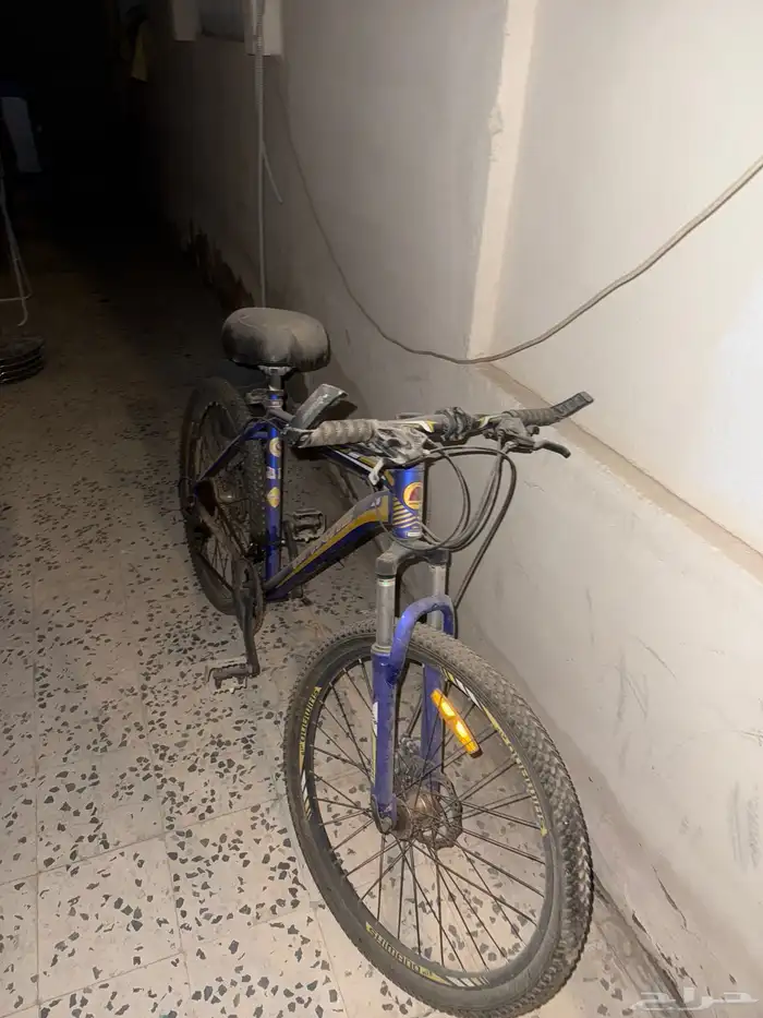 سيكل رياضي 1