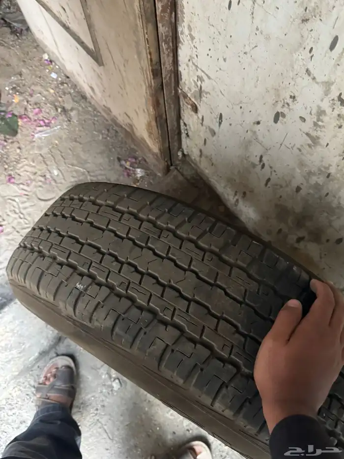 جنوط جيب ربع رفرف 15