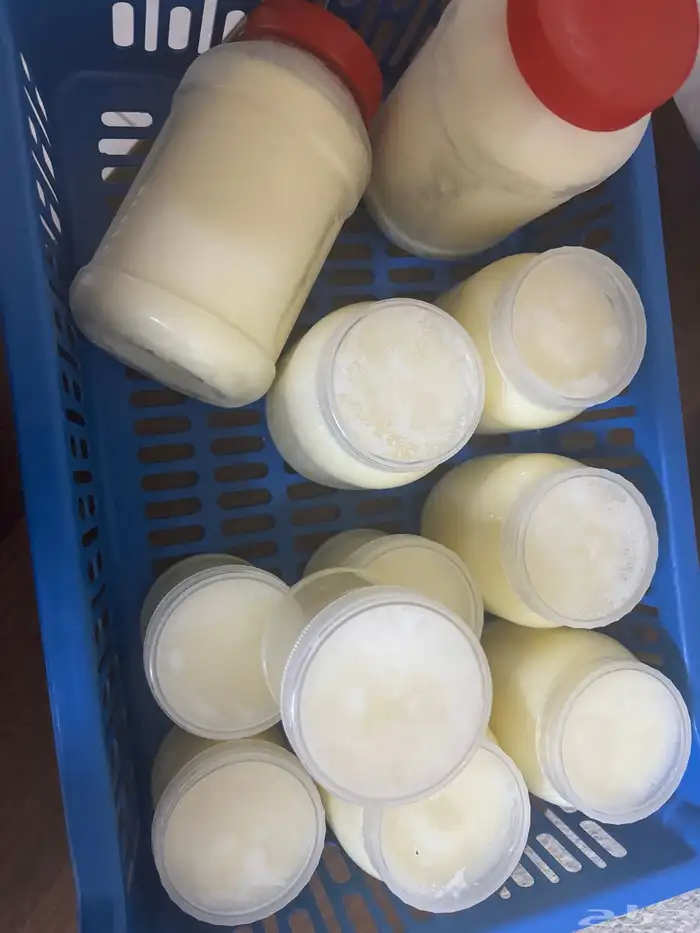 زبدة غنم طبيعيه 100  على الضمان الذهبي 4