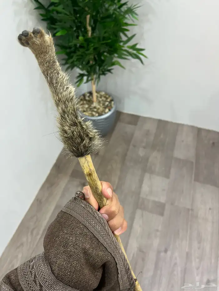 عصىاء شوحط ملبس فرو وبر في الاعلى واسفلها يد وبر 4