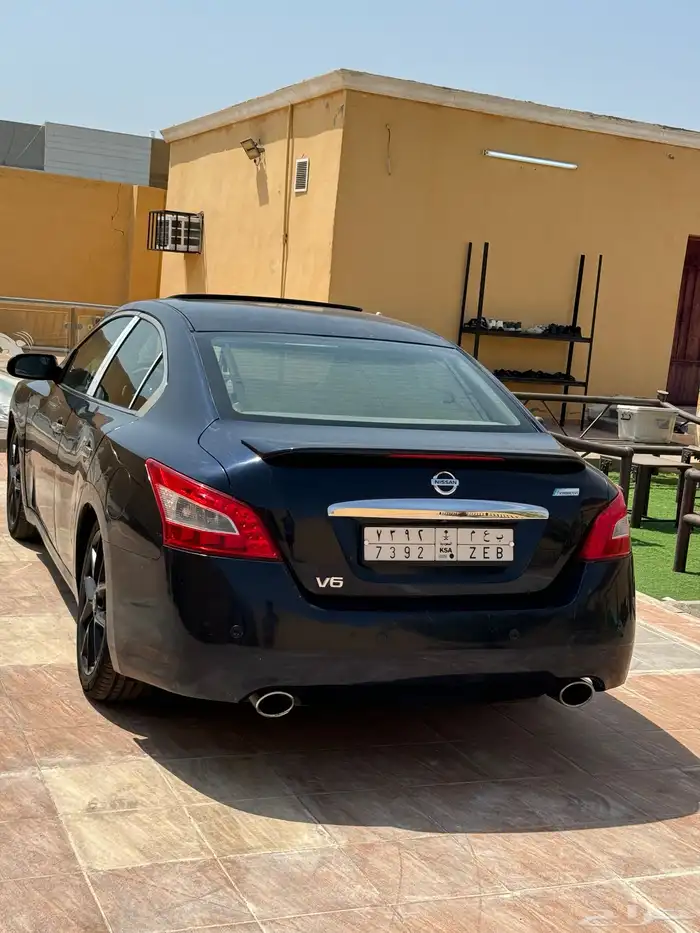 مكسيما 2011 16