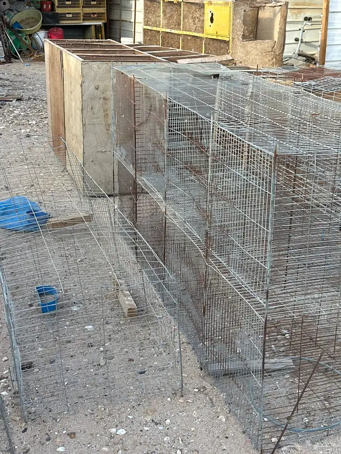 محاكر للبيع 1