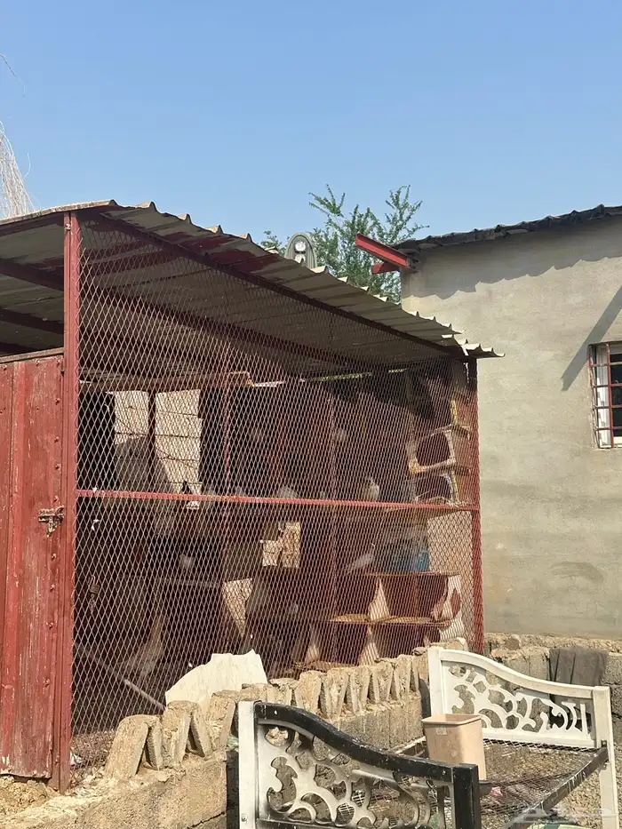 شبك حمام 4في3 0