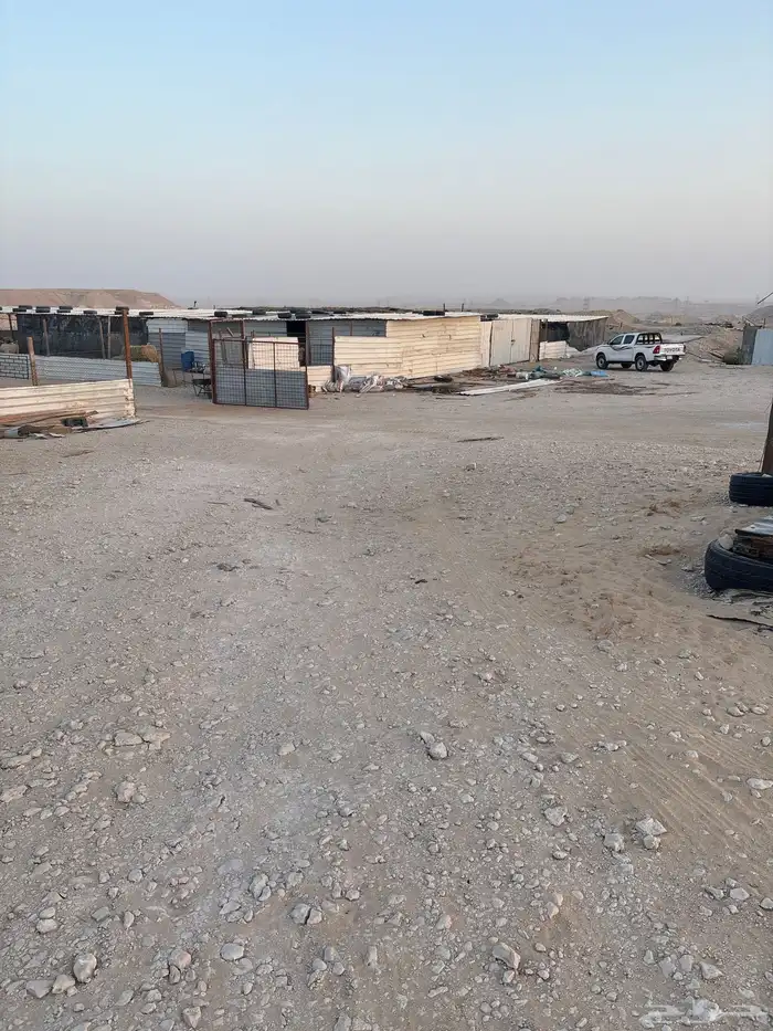 عزبه شمال سوق الغنم بالاحساء 4