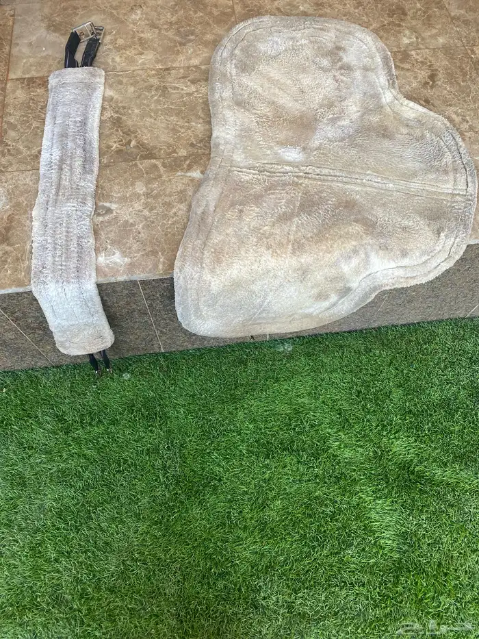 سرج ولجام ستيتوس نظيفه 5